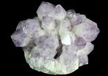 Wide Amethyst Crystal Cluster - Spectacular Display Piece #78154-4